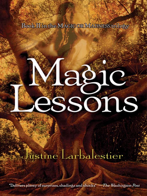 Title details for Magic Lessons by Justine Larbalestier - Available